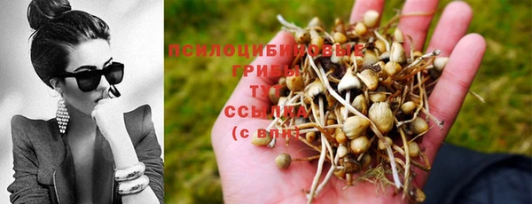 меф Вяземский