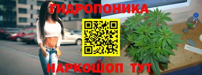 ПСИЛОЦИБИНОВЫЕ ГРИБЫ Бийск