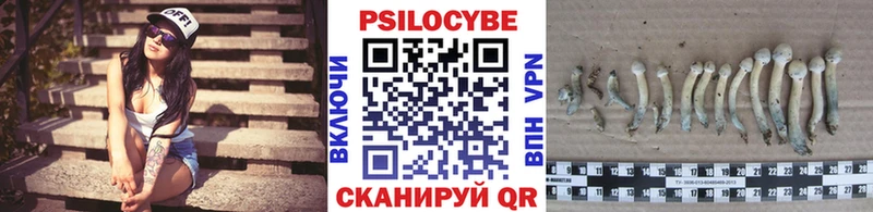 наркошоп Десногорск ссылка на мегу ONION Псилоцибиновые грибы MAGIC MUSHROOMS