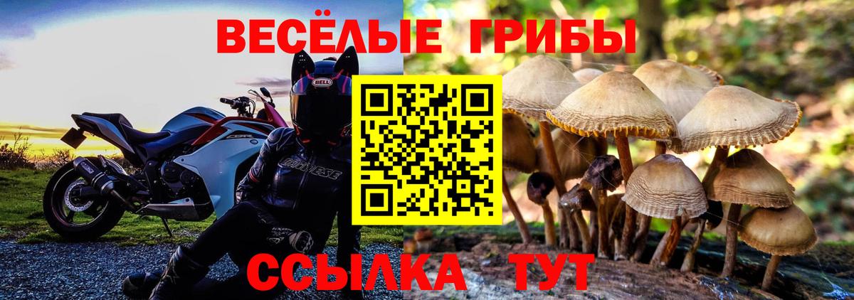 Псилоцибиновые грибы GOLDEN TEACHER  Вход с VPN  Десногорск 